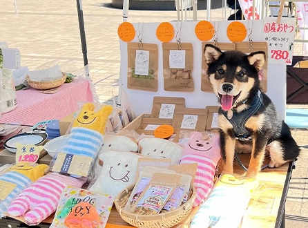 マルシェについて