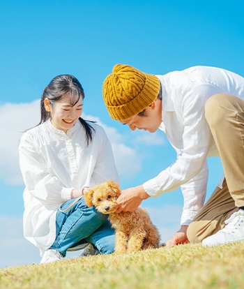 犬と暮らしについて